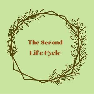 Meet your Posher, The 2nd life cycle